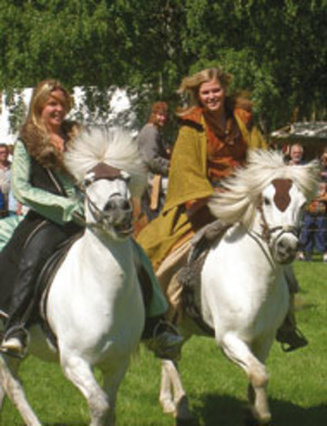 Stallarholmens Vikingar Stallarholmens Vikingar