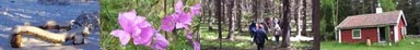 Naturskyddsföreningen i Sollentuna Naturskyddsföreningen i Sollentuna